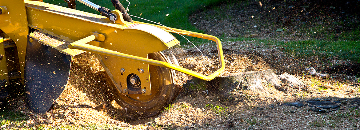 NV Stump Removal